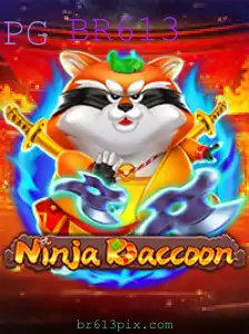 Descubra o Mundo Fascinante de NinjaRaccoon