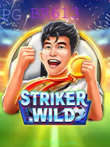 Explorando o Universo de StrikerWILD: A Aventura Interativa de BR613
